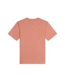 DAILY PAPER DP Blocked Tee - Washed Canyon Clay